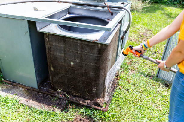 Air Duct Mold Removal in Rogers City, MI