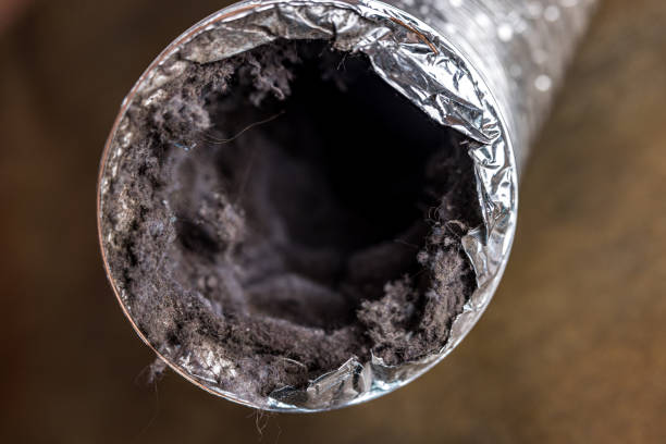 Best Residential Air Duct Cleaning  in Rogers City, MI